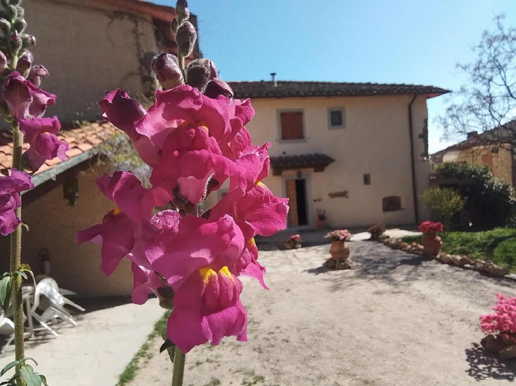 Casa Vacanze Podere Ugolini Ronta Exterior photo